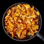 Sebastien JOUBERT - JOUBERT